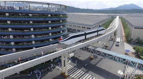 東莞引進多國科技治堵，無人駕駛與新型交通設施引領未來出行